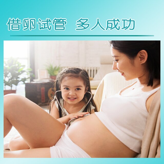 日本试管代孕